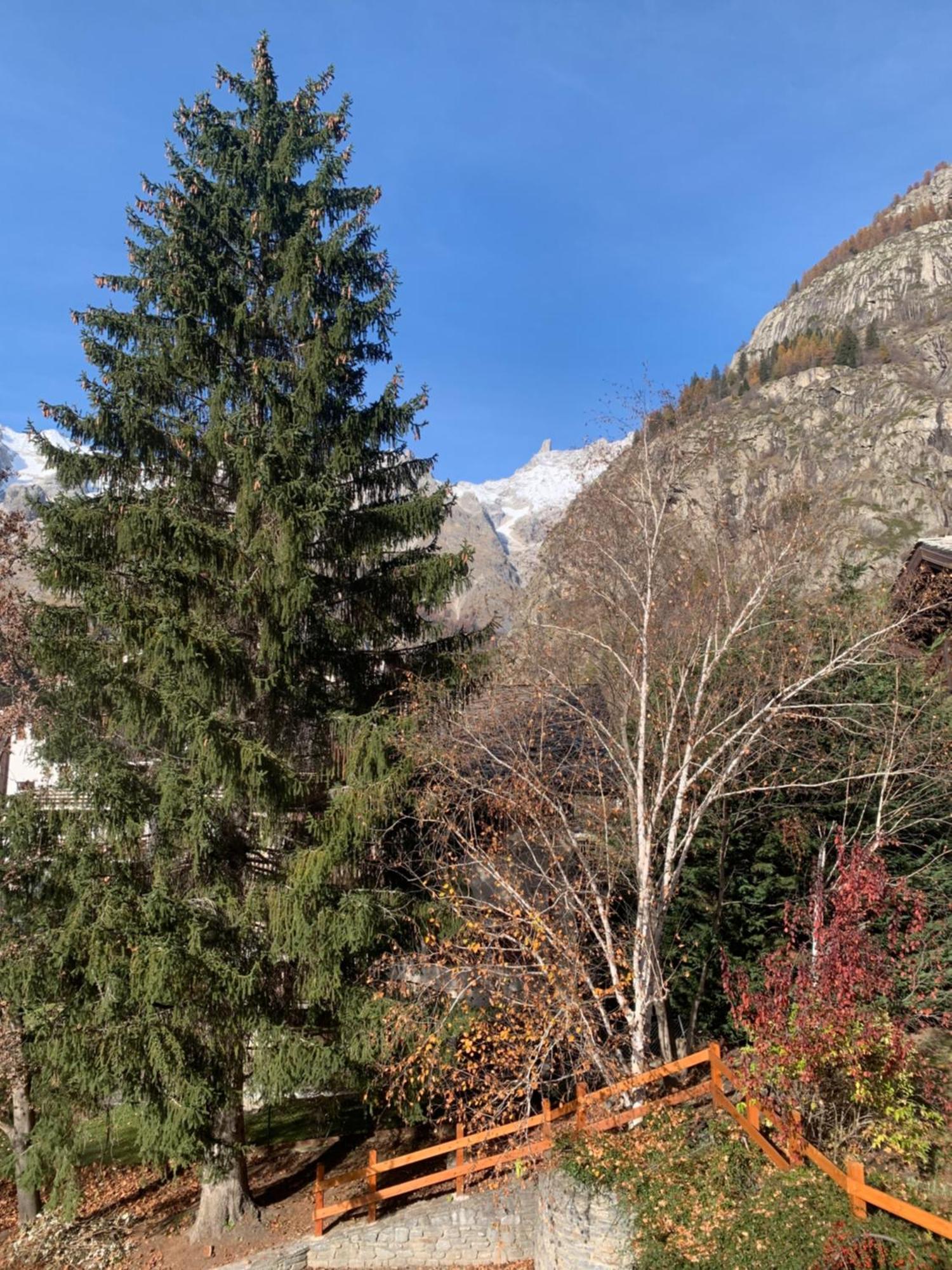 Ferienwohnung Foyer Grand Ru Courmayeur Exterior foto